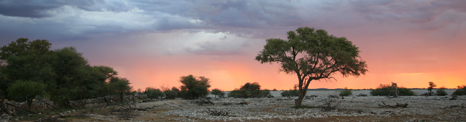 Nordost-Namibia & Nord-Botswana